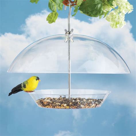 Turn it into a bird feeder! CLEAR PLASTIC DOME & TRAY HANGING BIRD SEED FEEDER ...