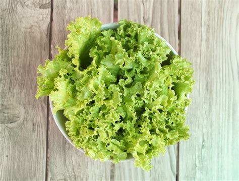 Fresh Green Lettuce In Bowl Stock Photo Image Of Agriculture Food