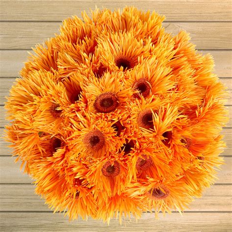 Costco flowers are ideal for large events such as weddings, sweet sixteen parties, and other occasions that traditionally feature fresh flowers. 60-stem Bulk Gerberas in 2020 | Bulk roses, Types of ...