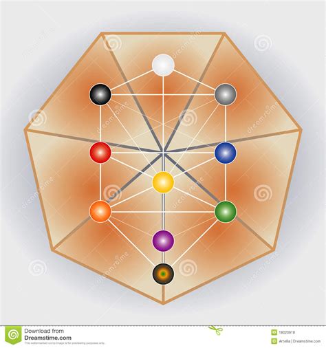Tree Of Life Symbol And Heptagon Royalty Free Stock Photos ...