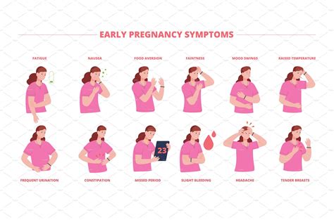 Early Pregnancy Symptoms Signs Graphics Creative Market