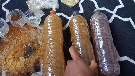 Ingat bahwa tidak ada hasil yang instan dalam merawat ayam, semua butuh proses dan ketekunan dalam perawatan, tetap sabar dan terus belajar. CARA membuat JAMU HERBAL Untuk AYAM Part. 2 - YouTube