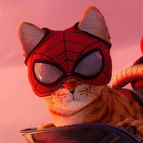 Video Game Marvels Spider Man Miles Morales Cat Pfp Spiderman Art