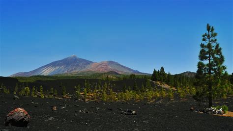 Tagsüber werden maximal 23 grad errei. Wetter auf Teneriffa im Juli 2020: Temperatur & Klimatabelle