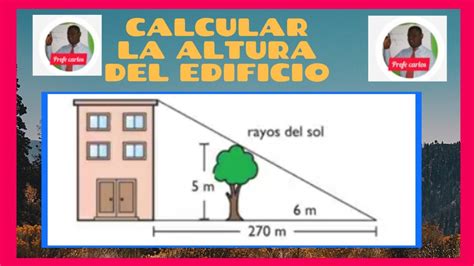 TEOREMA DE TALES Calcular La Altura De Un Edificio YouTube