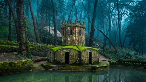 Nature Architecture Forest Old Building Water Lake Tower