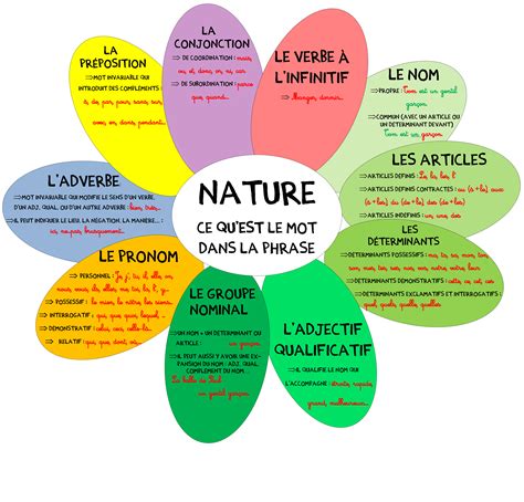 Natures Et Fonctions Des Mots Affichage