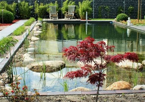 Wasser im Garten & Schwimmteiche - Wahlers - Ihr Gärtner von Eden