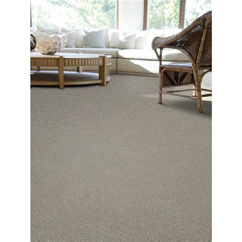 Stainmaster Essentials Gleeful Contented Textured Carpet Sample