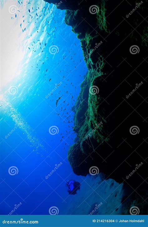 Scuba Diver Beautiful Underwater Landscape And Scenery Stock Photo