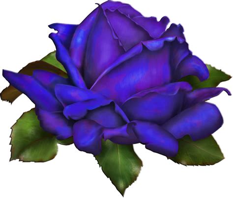 Purple Rose Drawing | Free download on ClipArtMag