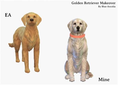 Simiracle Golden Retriever Makeover • Sims 4 Downloads