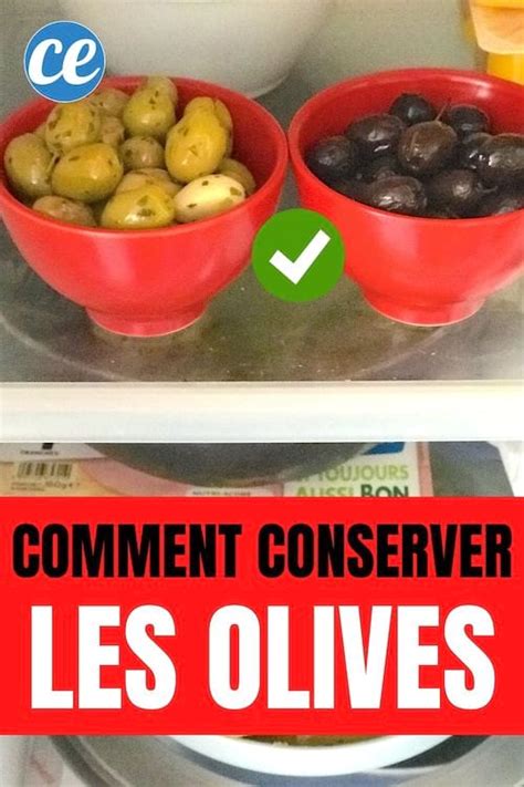 Voici Comment Conserver les Olives Fraîches Pendant Des Mois
