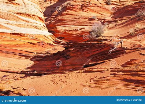 Paria Canyon Vermilion Cliffs Wilderness Arizona Usa Stock Photo