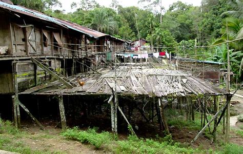 Kenyataannya, dia seorang tuan tanah rumah setinggan, pengedar dadah dan bapa ayam yang kejam, yang sepatutnya dah lama dipenjarakan. mi1: RUMAH SETINGGAN DAYAK SARAWAK