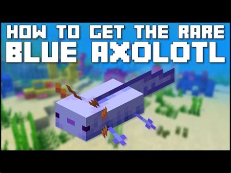 We did not find results for: Minecraft - How To Get The Rare Blue Axolotl (Java/Bedrock ...