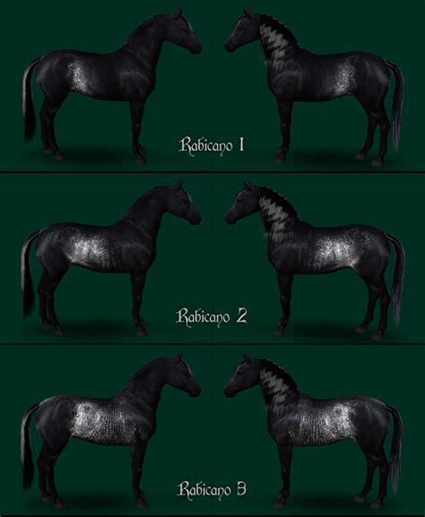 3 Rabicano Markings By Eldervine Fields Sims Pets Sims 3 Horse Cc