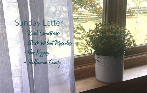 Sunday Letter 102019 Grace Grits And Gardening