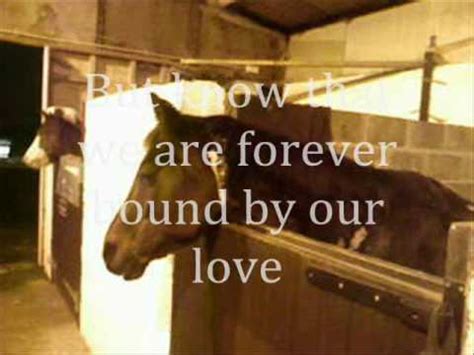 For many, despite an illustrious comedic. Rip,Monty // Why Horses Die Poem - YouTube