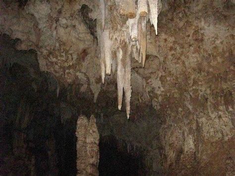 Stalactite Formation Picture Of Guajataca Forest Reserve Isabela