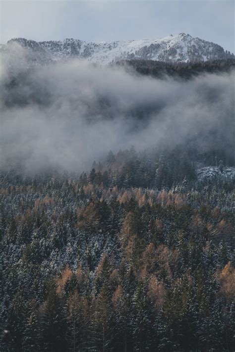 Free Stock Photo Of Daylight Environment Fog