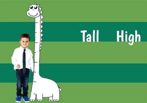 Tall Vs High Tall