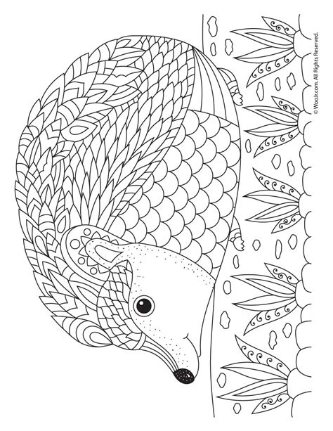 Hedgehog Fall Coloring Page