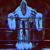 Crazytights Ric Flair Robes Black W Silver V