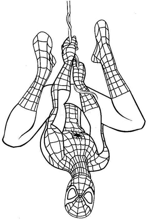 You can find here 26 free printable coloring pages of spiderman for boys, girls and adults. Baby Spiderman Coloring Pages at GetColorings.com | Free ...