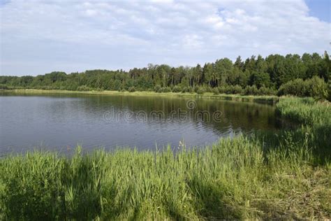 Natural Landscape Of Belarus And Russia Summer Day Lake Stock Image