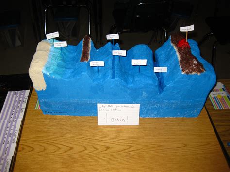 5th Grade Ocean Floor Model Project Dino Maccabe