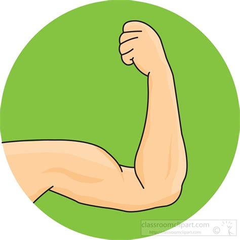 Biceps Clipart 4 Clipart Station