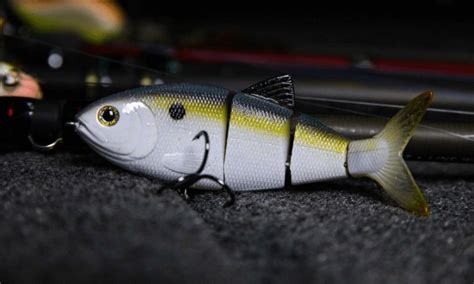 Spro Bbz Swimbaits Produce Big Bass Bassfirst