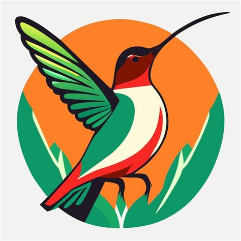 Premium Vector Hummingbird Vector Illustration Cartoon