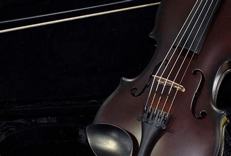 How To Find The Best 5 String Violins Strings Guide