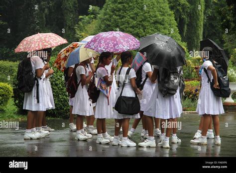 School Girls Kandy Sri Lanka Hi Res Stock Photography And Images Alamy