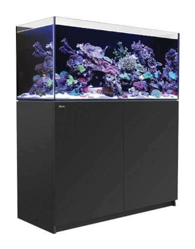 Best Rated 100 Gallon Fish Tanks In 2023 • Reviews