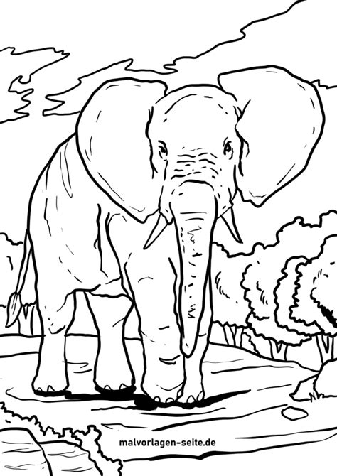 Ausmalbilder Elefanten Kostenlos Herunterladen Und Ausmalen Lassen