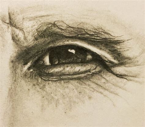 Pencil Illustration Tired Eyes Eye Illustration Drawing Techniques