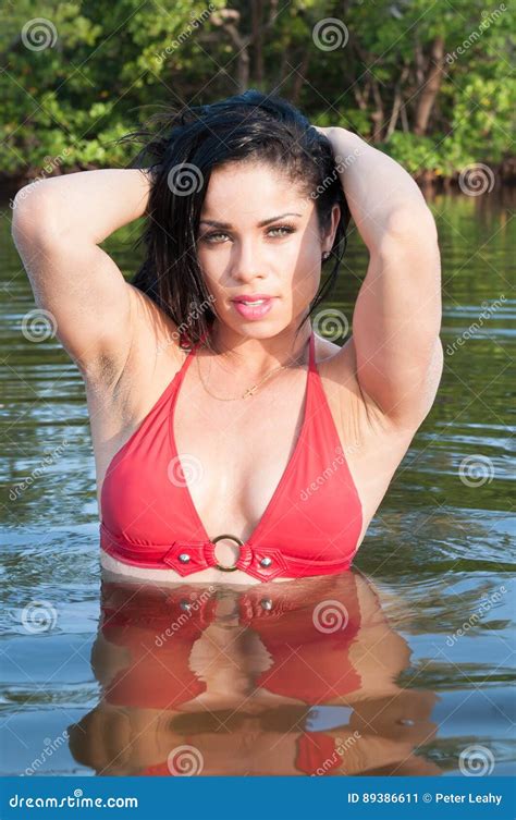 Dark Haired Woman At The Beach Stock Image Image Of Beach Model