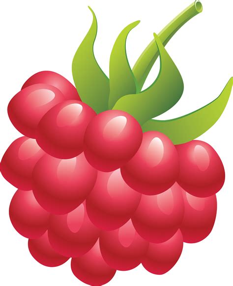 Raspberry Clipart Clipground