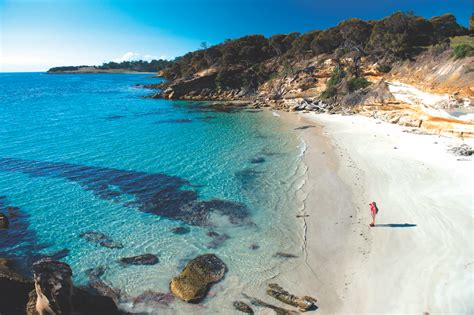 Marina island pangkor resort & hotel (suites, function rooms and convention hall). Wild and Free: Hiking Maria Island in Tasmania | Luxury ...
