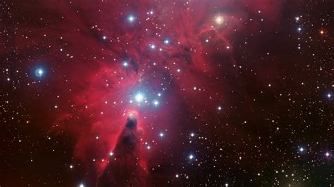 Christmas Tree Cluster Cone Nebula 4k 8k Wallpapers Hd