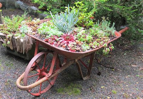 We did not find results for: 25 Wheelbarrow Planter Ideas for Your Garden - Garden ...