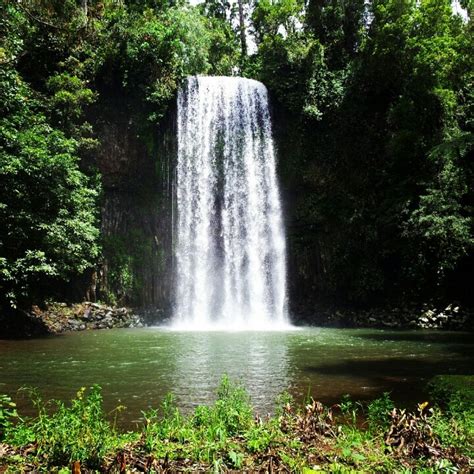 Waterfall In The Rainforest Near Cairns Australia Waterfall Outdoor