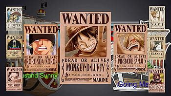 Take A Stab At Everyone S Next Bounty Increase What Will The Straw Hat Bounties Be After The