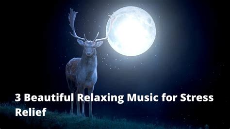 Relax Beautiful Relaxing Music For Stress Relief ~ Meditation Sleep
