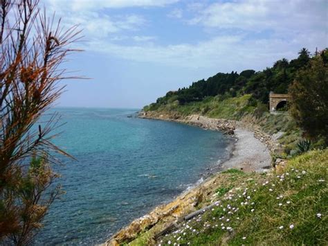 Jul 26, 2021 · fotosegnalazione di san bartolomeo al mare. La spiaggia libera di San Lorenzo al amre - Foto di San ...