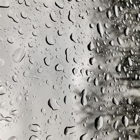 Download Wallpaper 2780x2780 Drops Rain Moisture Glass Window