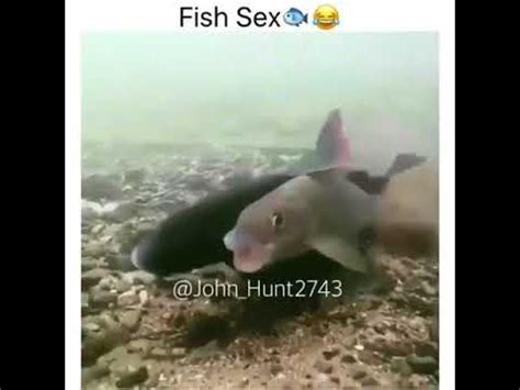 Porno clipfish Clipfish Familiensex
